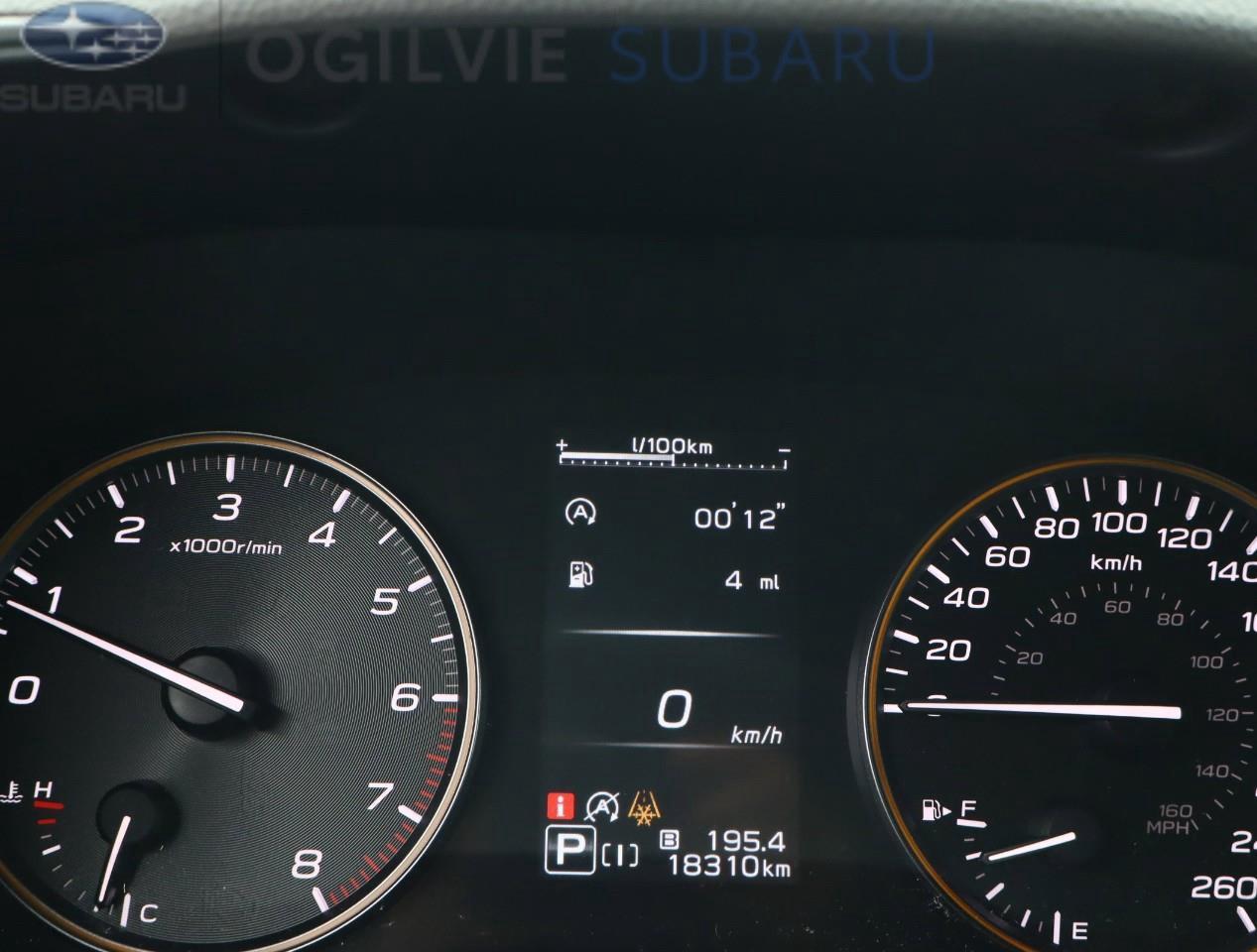 2024 Subaru Crosstrek Wilderness 4dr All-Wheel Drive Photo