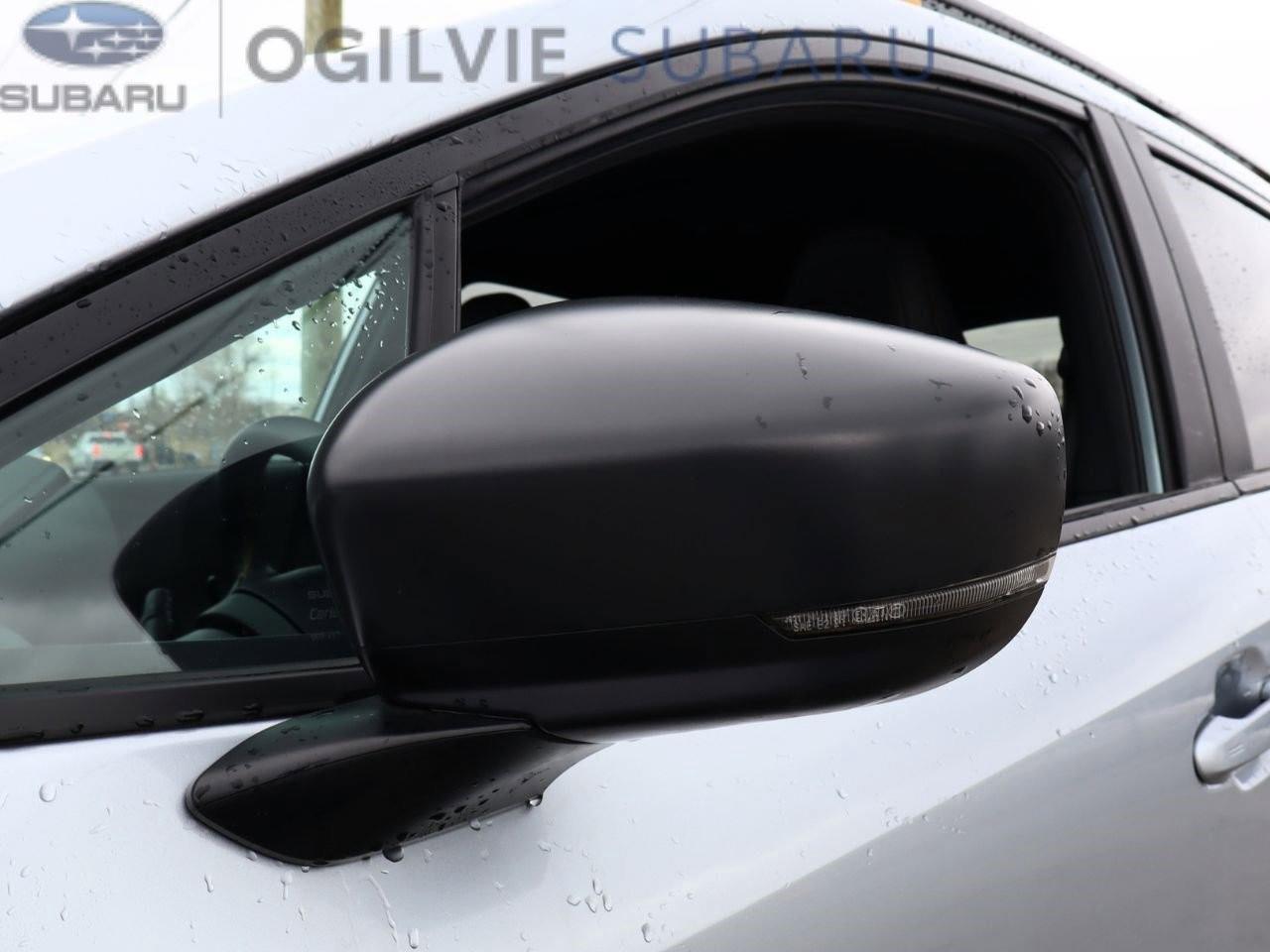 2024 Subaru Crosstrek Wilderness 4dr All-Wheel Drive Photo