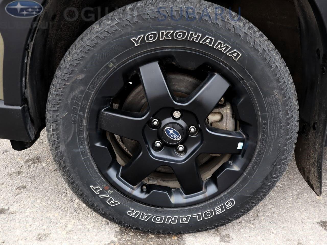 2025 Subaru Outback Wilderness 4dr All-Wheel Drive Photo