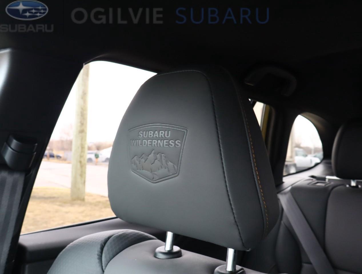 2025 Subaru Outback Wilderness 4dr All-Wheel Drive Photo