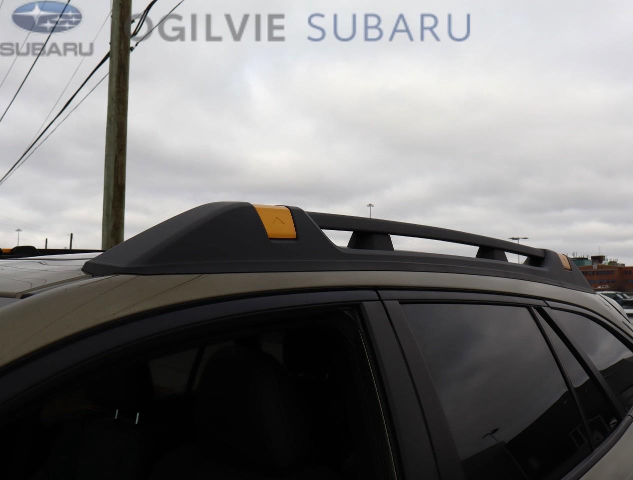 2025 Subaru Outback Wilderness 4dr All-Wheel Drive Photo