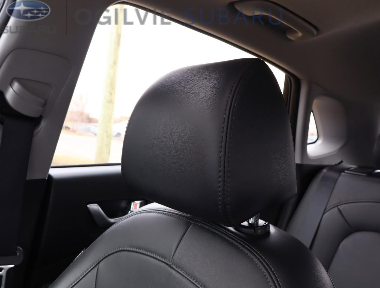 2023 Hyundai KONA 2.0L Preferred Sun & Leather Package 4dr All-Wheel Drive Photo