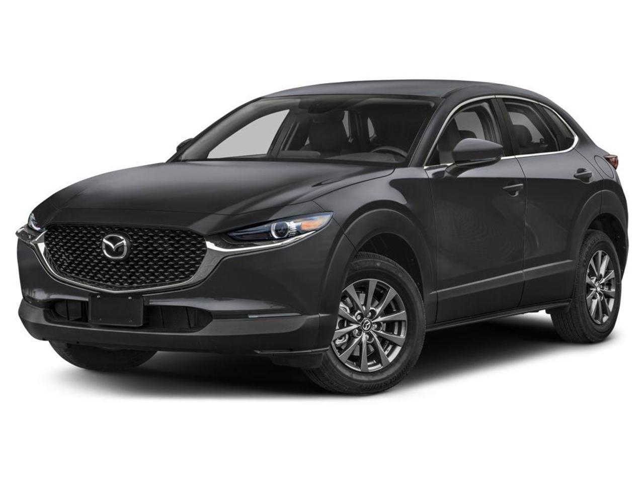 2023 Mazda CX-30 GX 4dr i-ACTIV All-Wheel Drive Sport Utility Photo