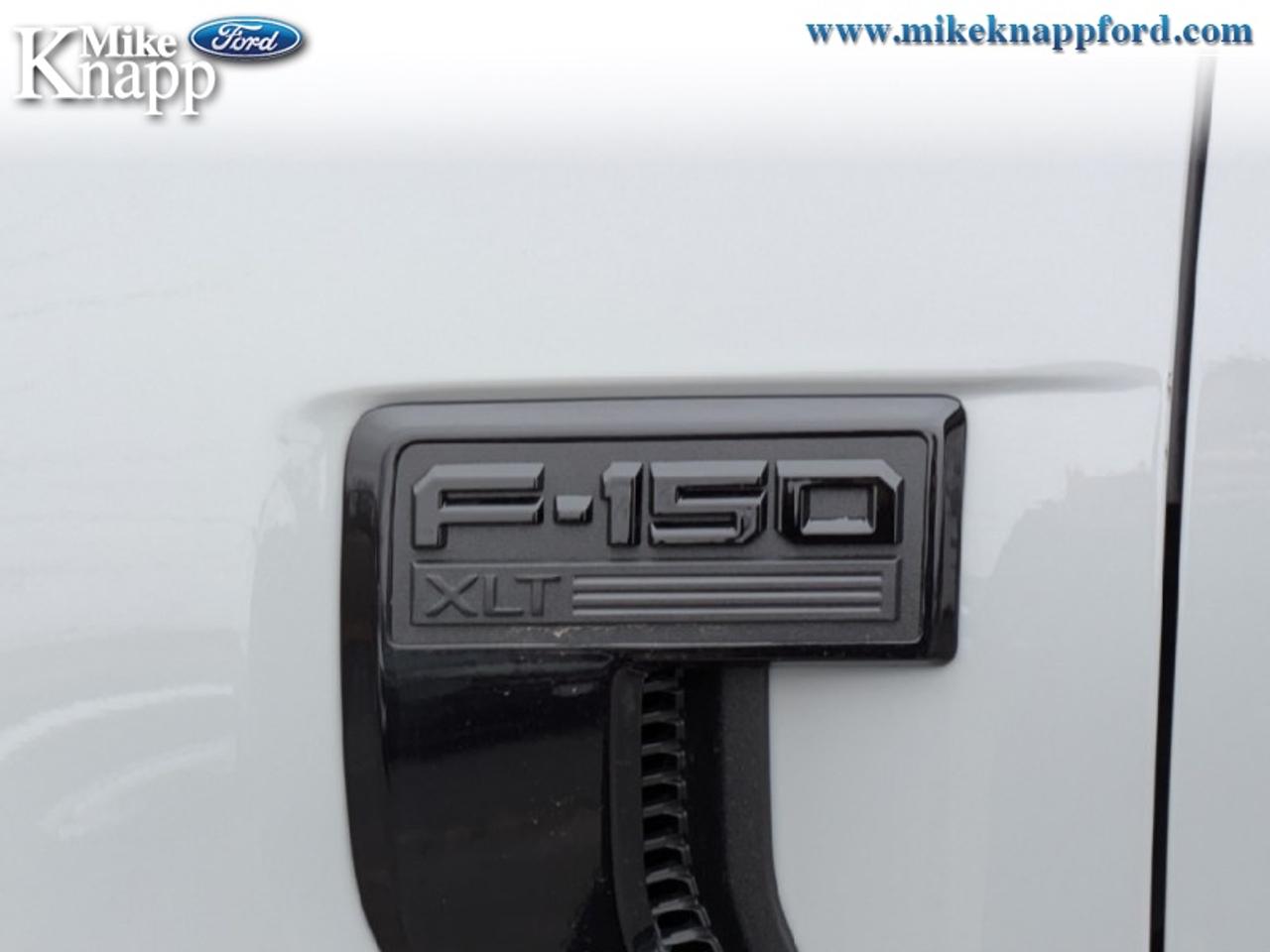 2026 Ford F-150 XLT Photo