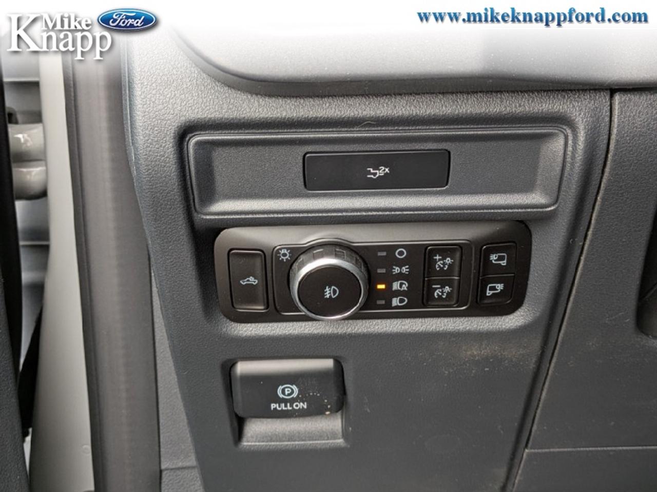 2026 Ford F-150 XLT Photo