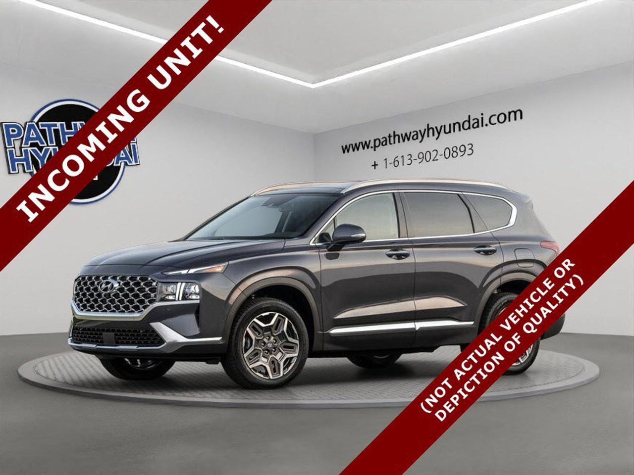 2023 Hyundai Santa Fe Hybrid Luxury Photo0
