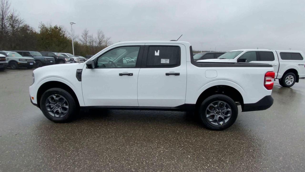 2026 Ford Maverick XLT Photo4