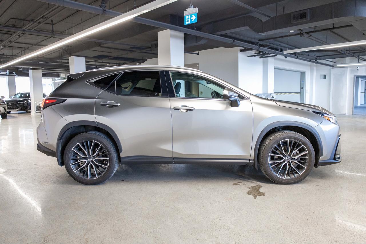 2024 Lexus NX 350 Executive Pkg Lexus Certified Welcome Trades Photo