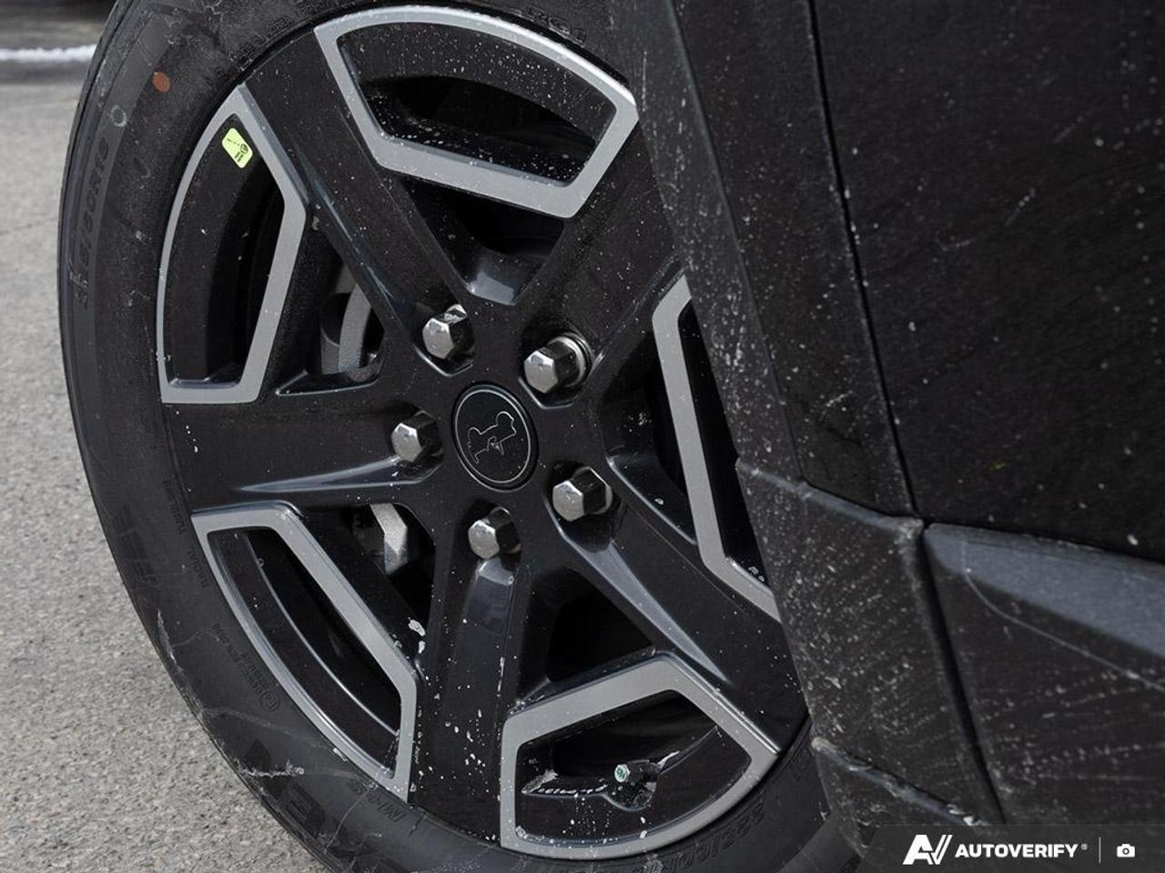 2026 Jeep Cherokee Laredo/Limited 4dr 4x4 Photo