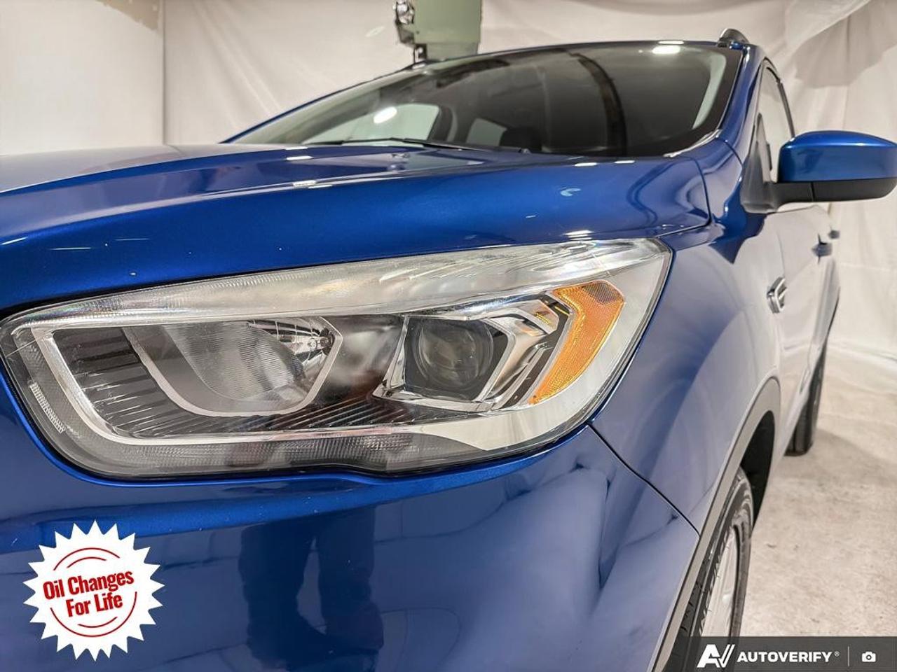 2019 Ford Escape SEL 4WD Photo