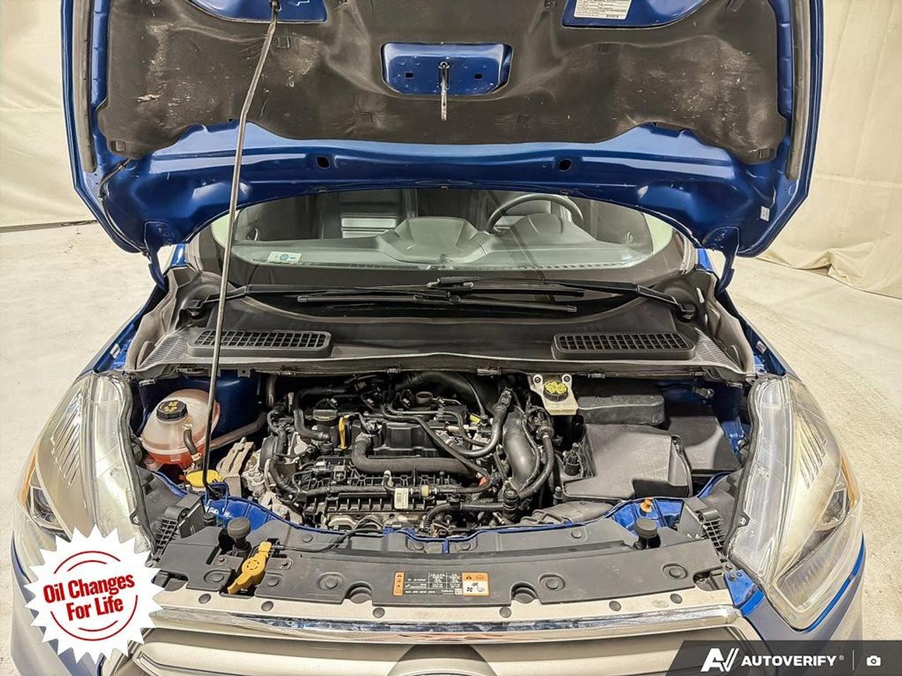 2019 Ford Escape SEL 4WD Photo