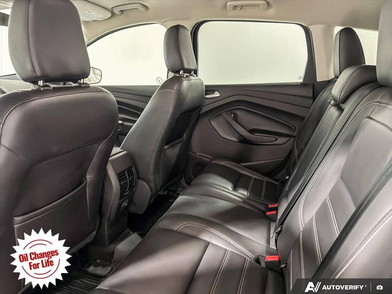 2019 Ford Escape SEL 4WD Photo