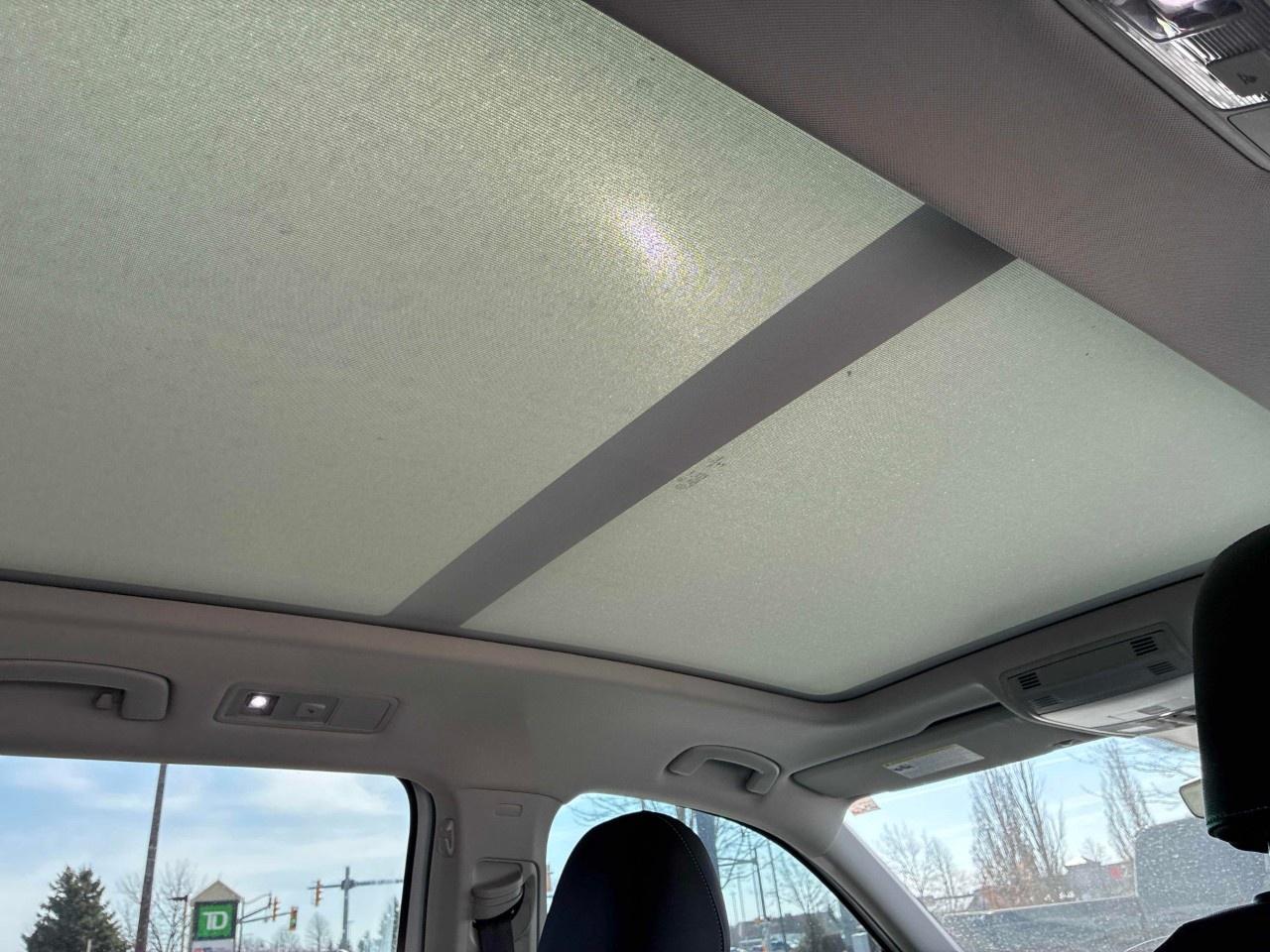 2020 Volkswagen Tiguan  Photo