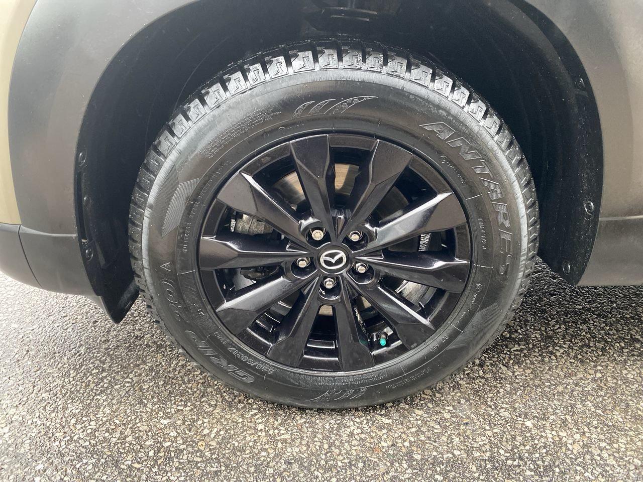 2024 Mazda CX-50 GS-L Photo