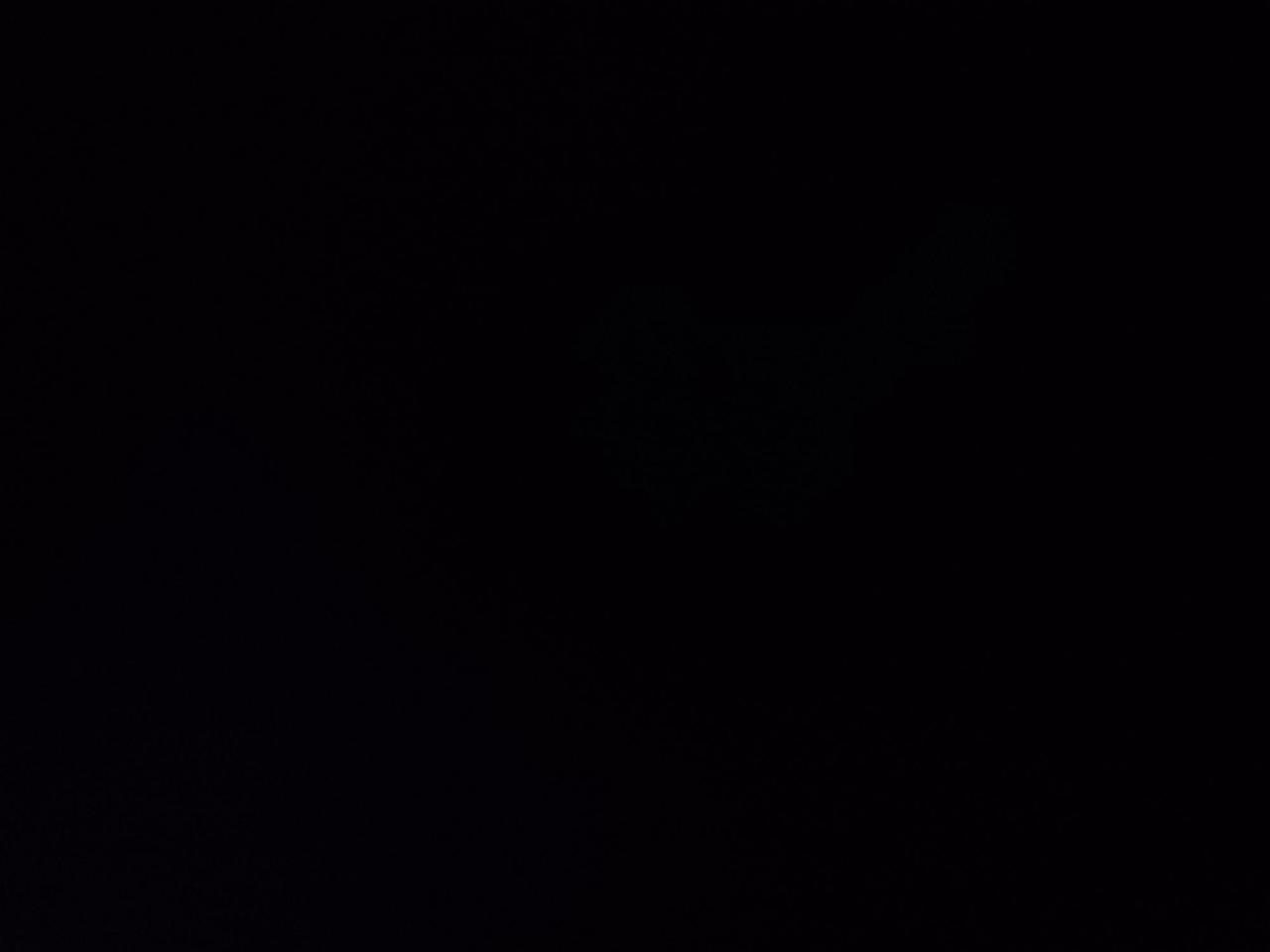 13871706.804648315