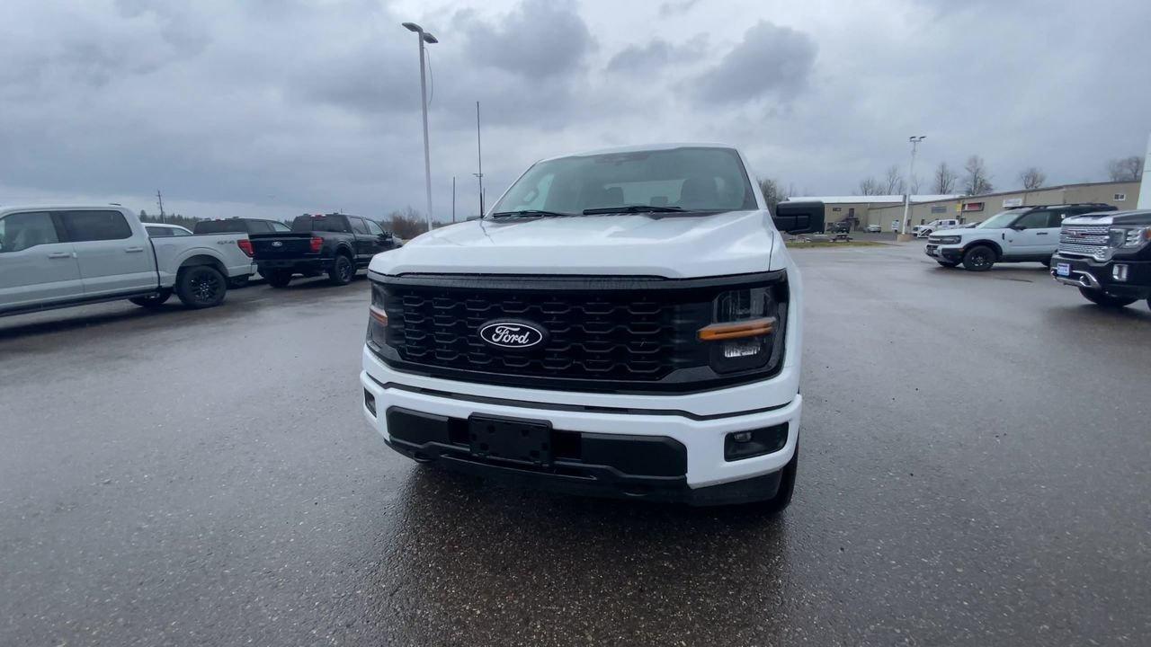2026 Ford F-150 STX Photo