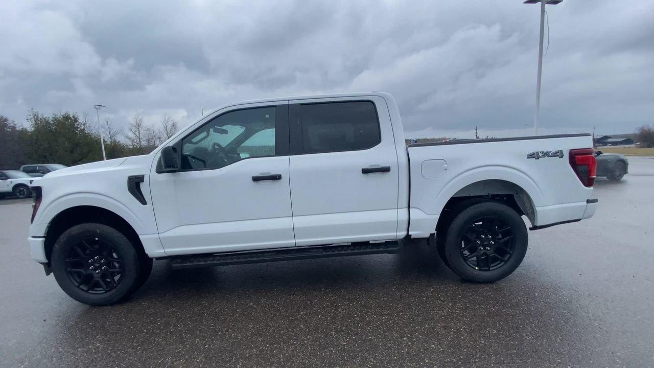 2026 Ford F-150 STX Photo4