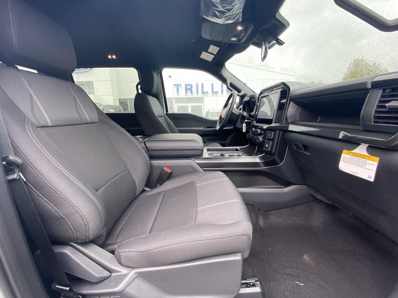 2026 Ford F-150 STX Photo