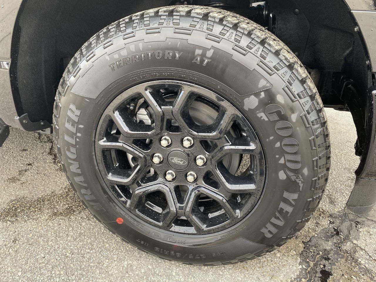 2026 Ford F-150 XLT Photo