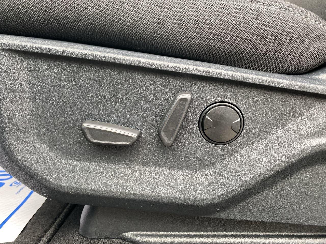 2026 Ford F-150 XLT Photo