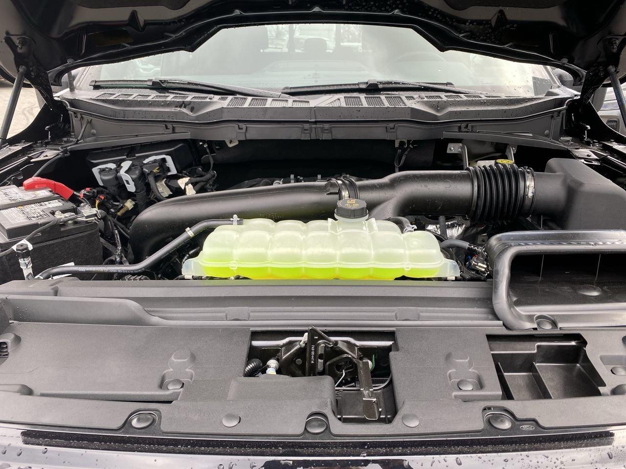 2026 Ford F-150 XLT Photo