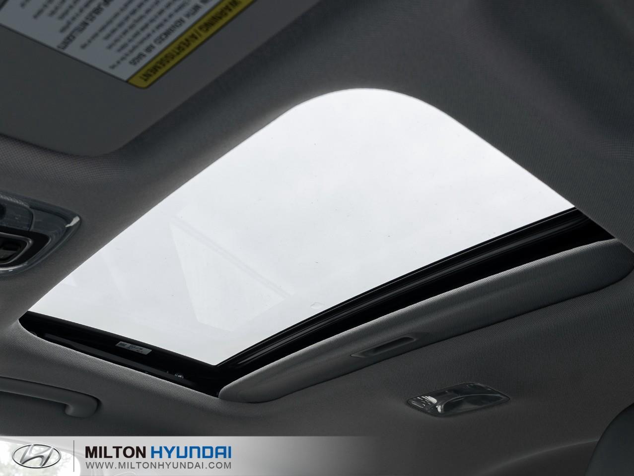 2026 Hyundai Elantra HEV Luxury 4dr Sedan Photo