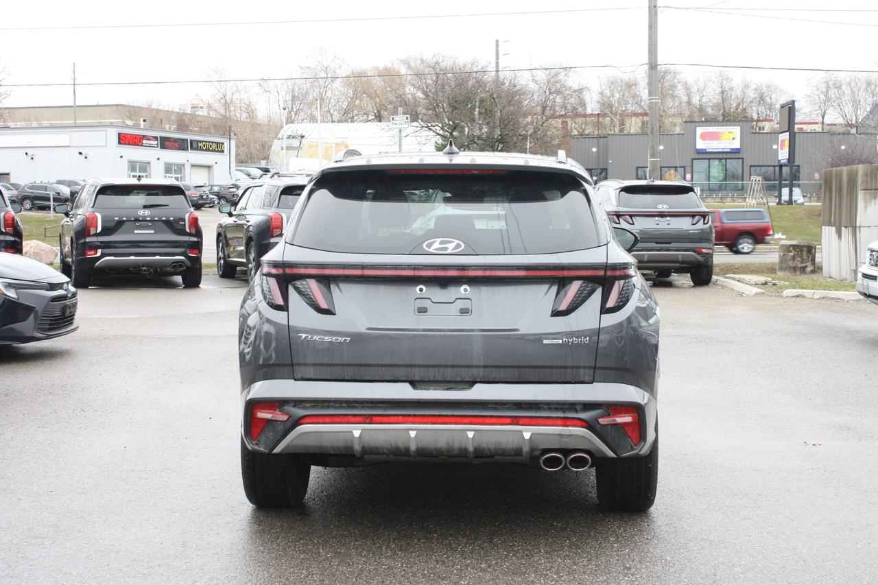 2024 Hyundai Tucson Hybrid  Photo