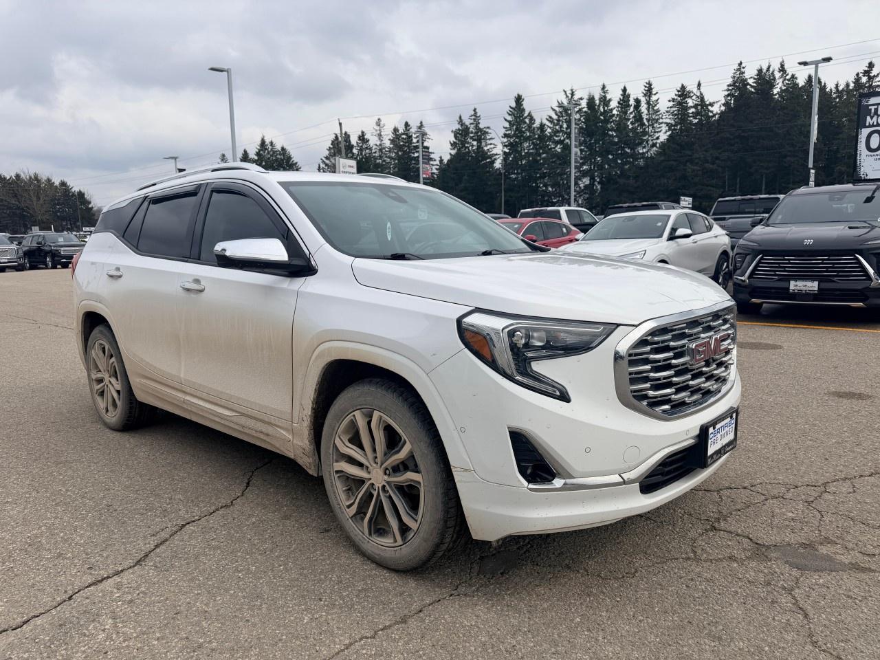 2019 GMC Terrain AWD Denali Photo