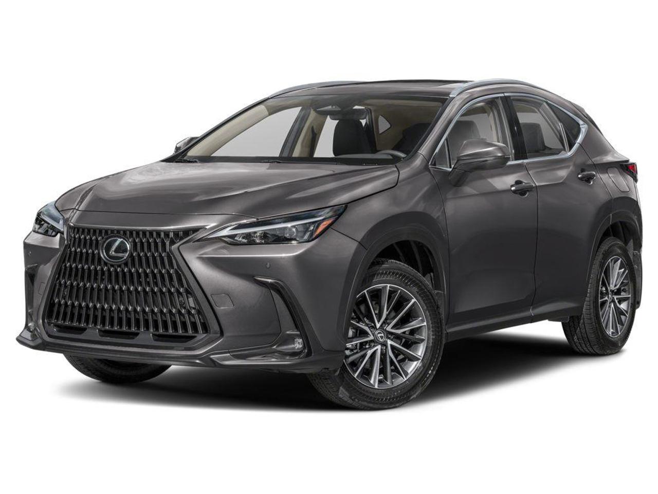 2024 Lexus NX 350 Base 4dr All-Wheel Drive Photo