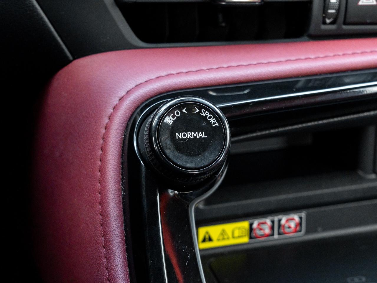 2024 Lexus NX 350 Base 4dr All-Wheel Drive Photo