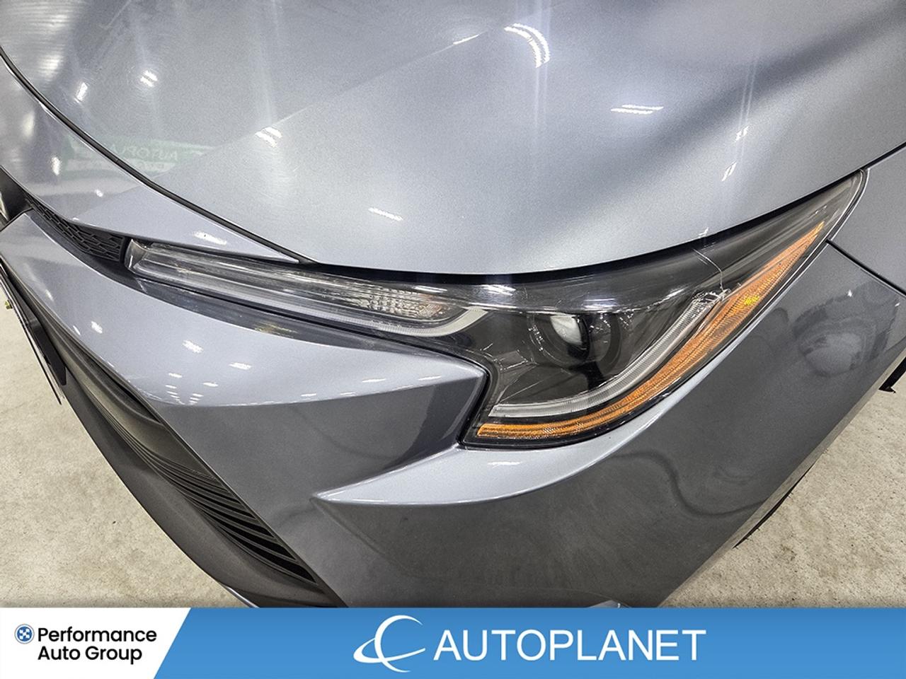 2024 Toyota Corolla LE, Upgrade Pkg, Apple CarPlay, Back Up Cam! Photo