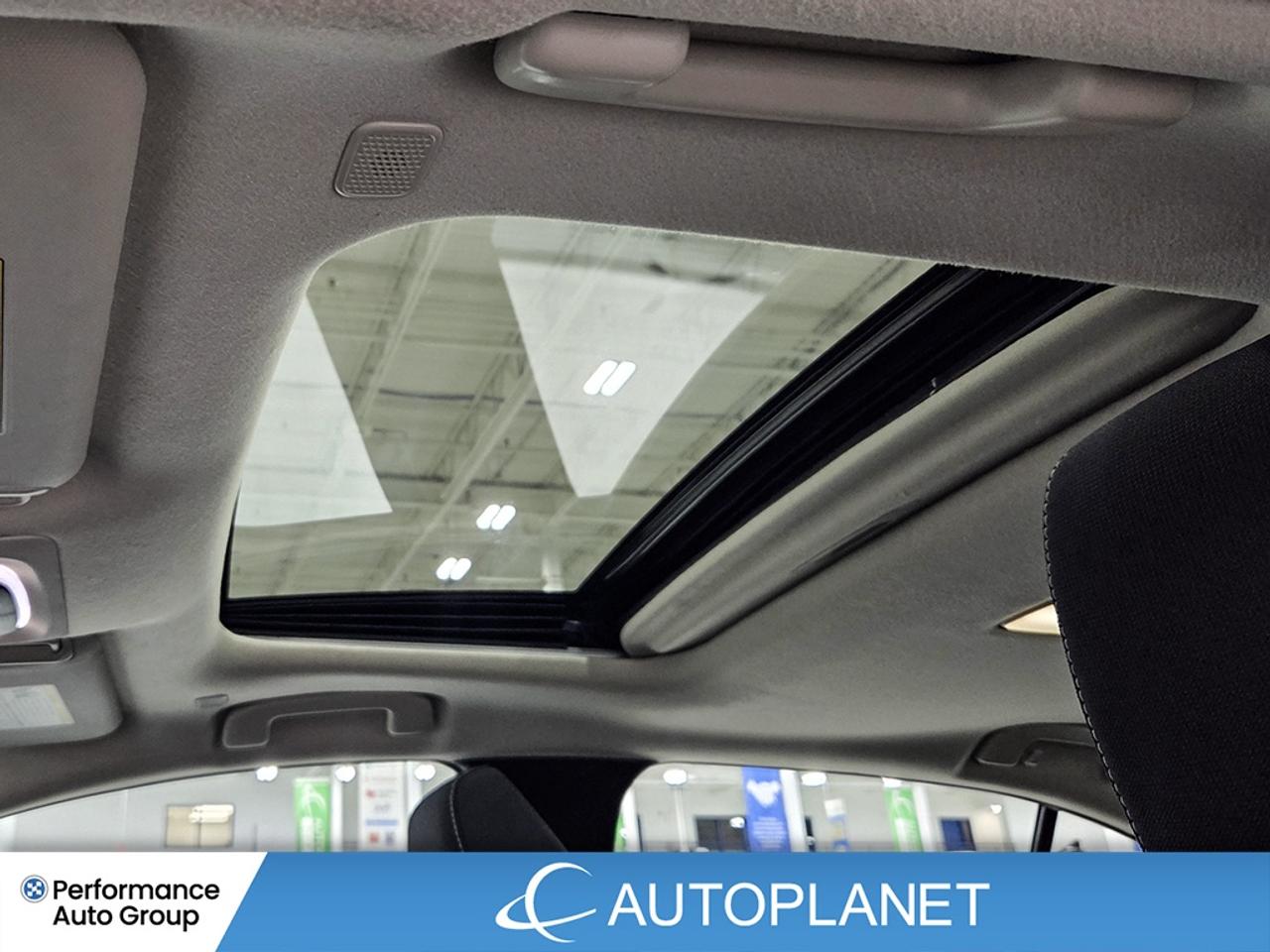 2024 Toyota Corolla LE, Upgrade Pkg, Apple CarPlay, Back Up Cam! Photo