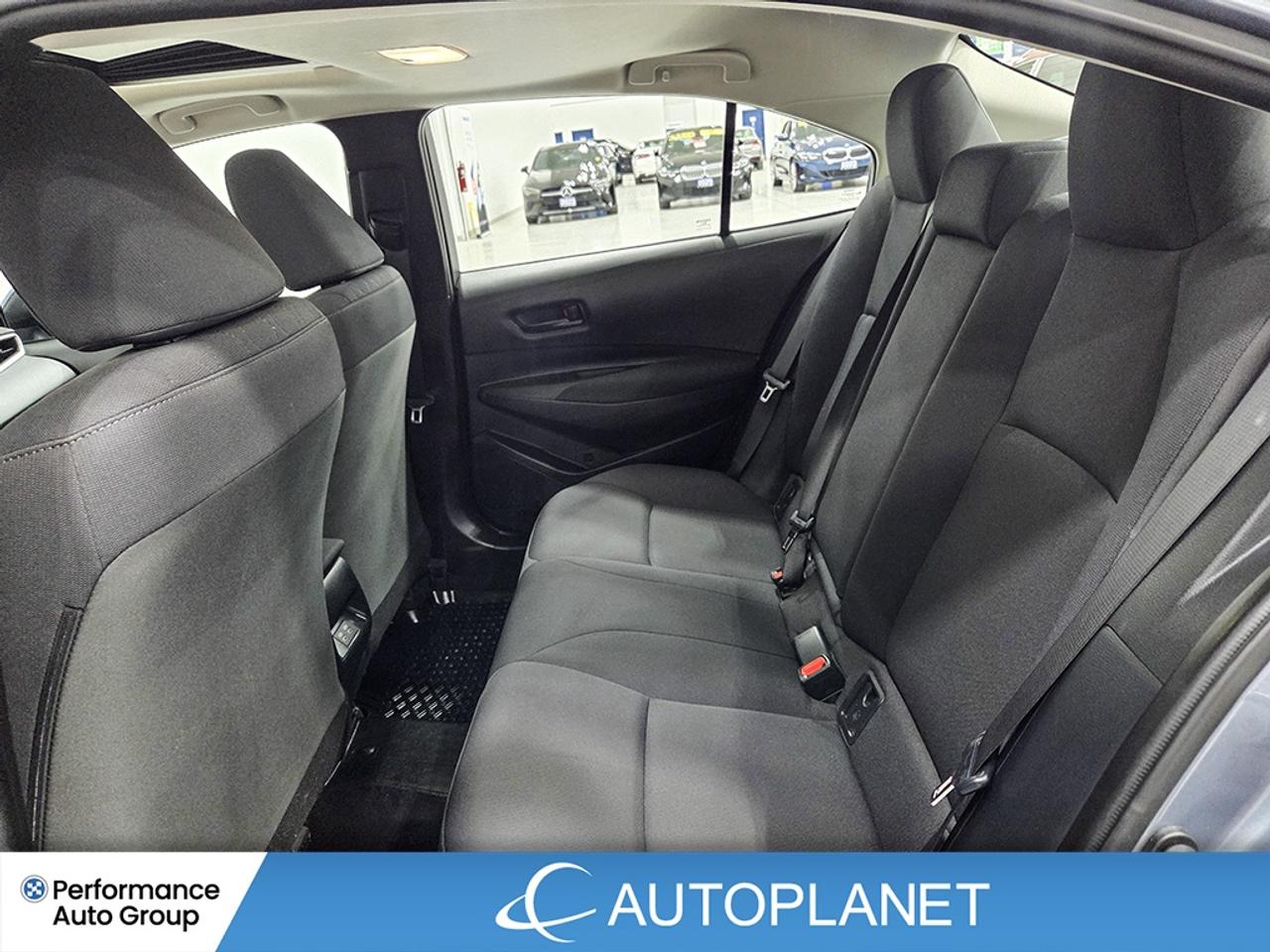 2024 Toyota Corolla LE, Upgrade Pkg, Apple CarPlay, Back Up Cam! Photo