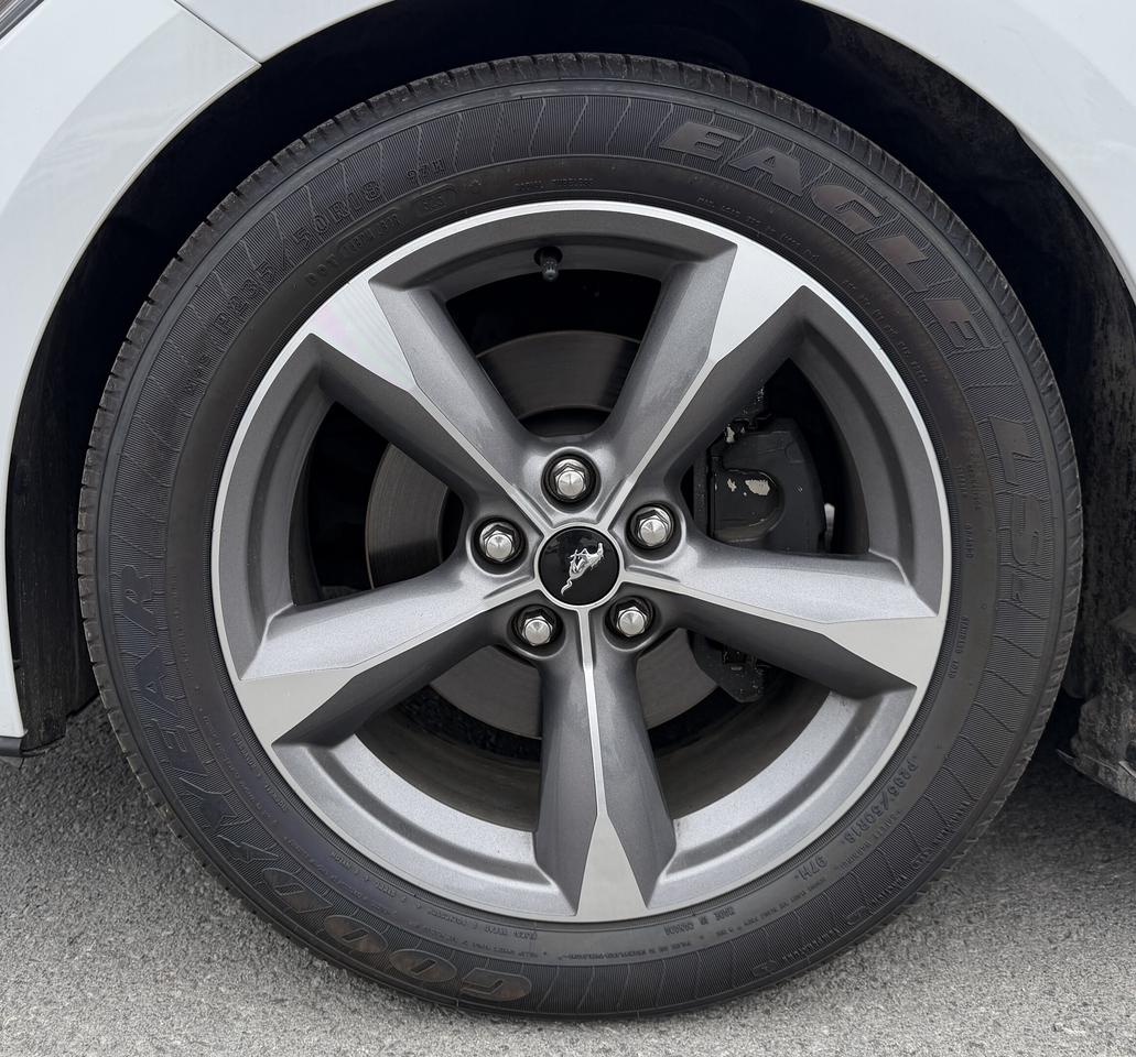 2017 Ford Mustang 2DR CONV V6 Photo