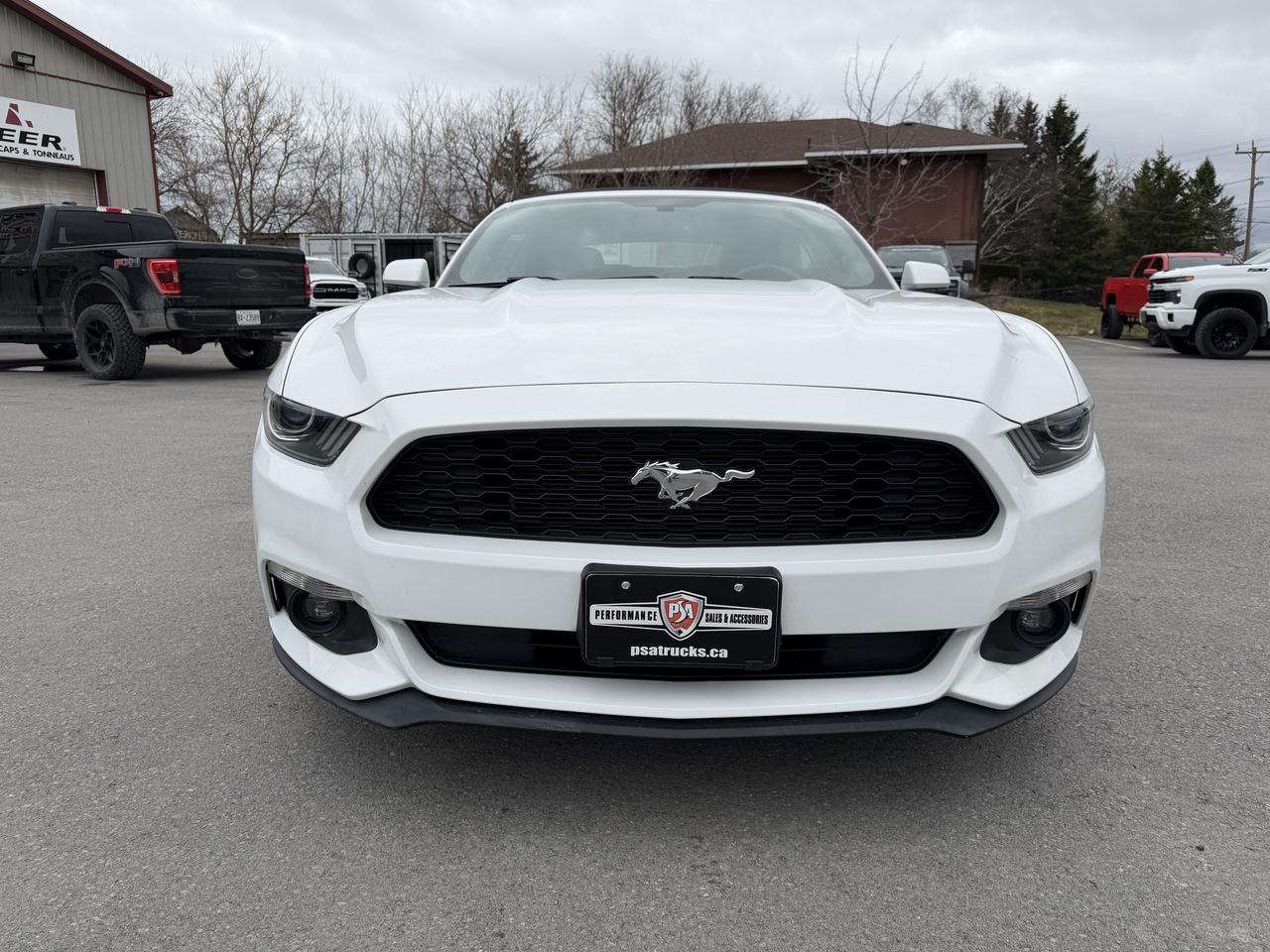 2017 Ford Mustang 2DR CONV V6 Photo