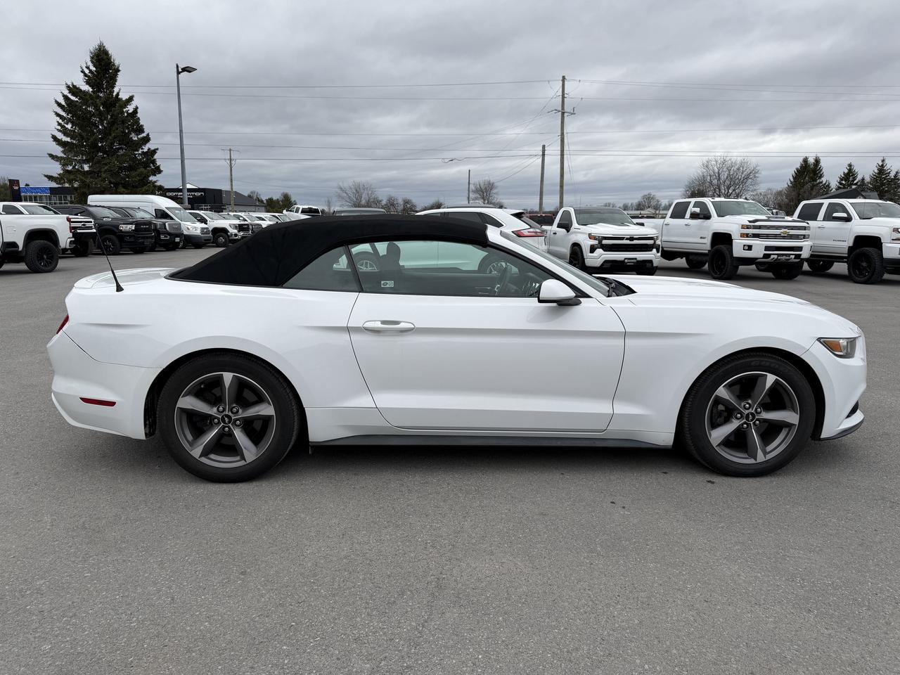 2017 Ford Mustang 2DR CONV V6 Photo