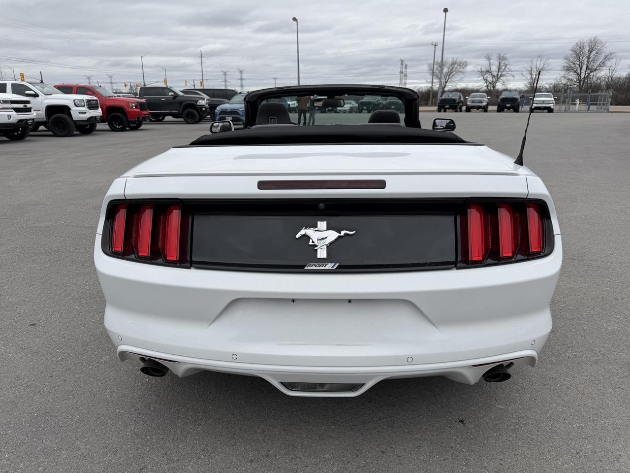 2017 Ford Mustang 2DR CONV V6 Photo