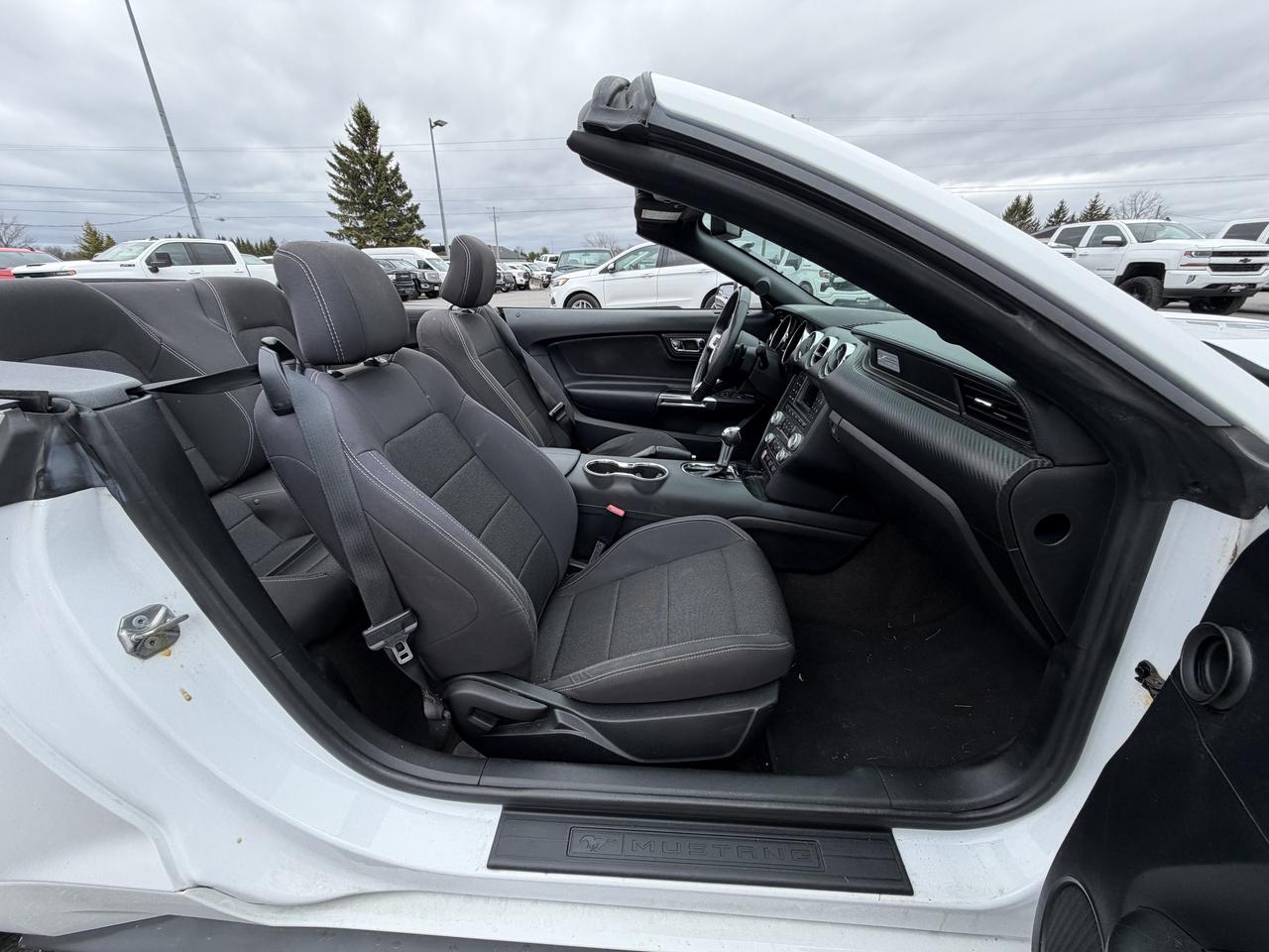 2017 Ford Mustang 2DR CONV V6 Photo