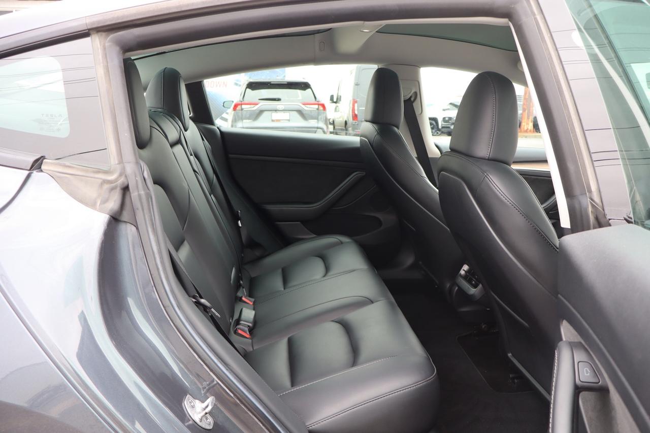 2023 Tesla Model 3 Standard Range Plus   No Accident   Clean Carfax Photo