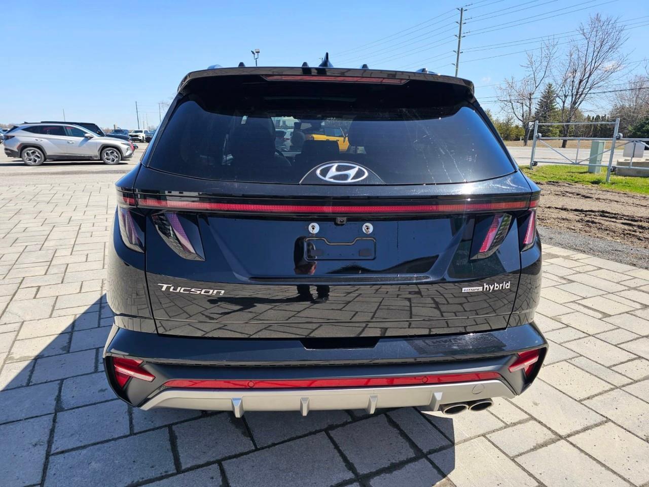 2024 Hyundai Tucson Hybrid  Photo