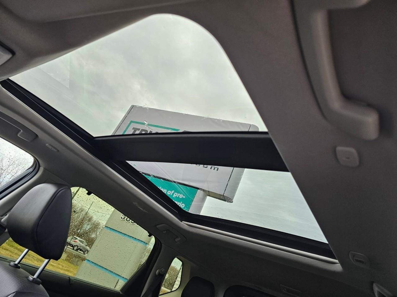 2024 Nissan Rogue SV Moonroof 4dr All-Wheel Drive Sport Utility Photo