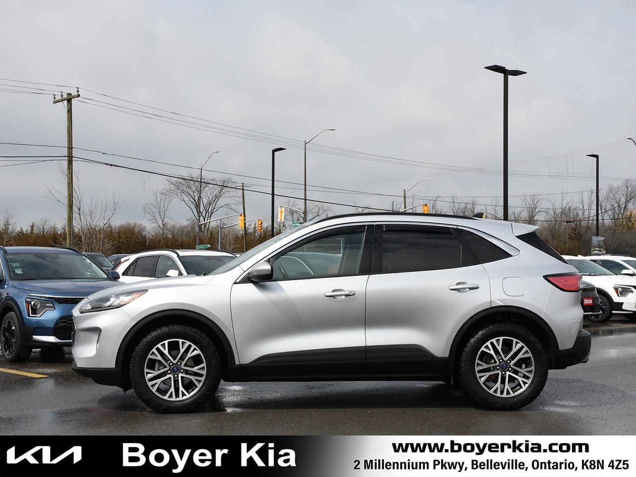 2020 Ford Escape SEL Photo