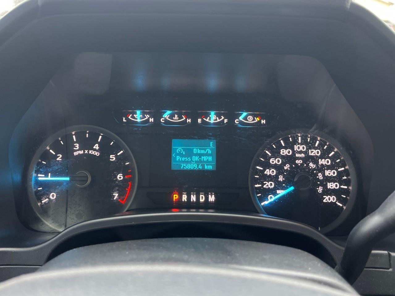 2020 Ford F-150  Photo