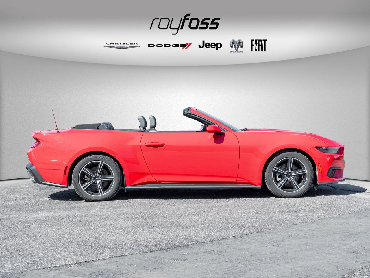 2025 Ford Mustang EcoBoost Premium   Convertible   Clean Carfax Photo