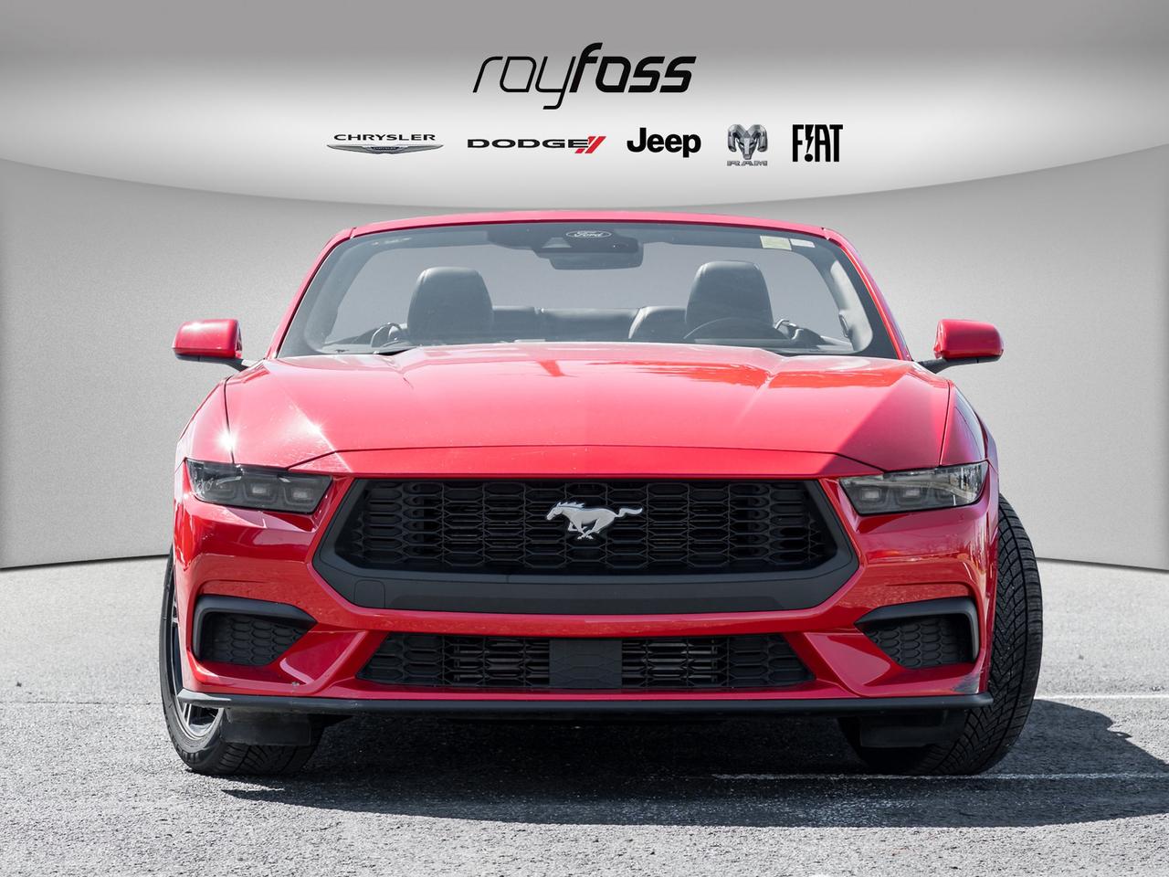 2025 Ford Mustang EcoBoost Premium   Convertible   Clean Carfax Photo