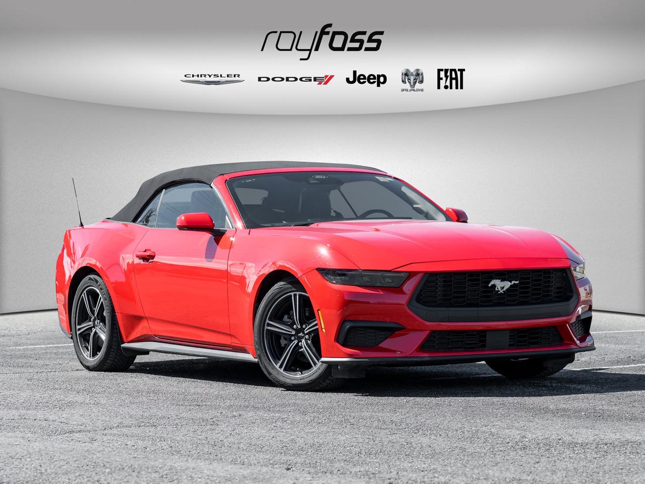 2025 Ford Mustang EcoBoost Premium   Convertible   Clean Carfax Photo
