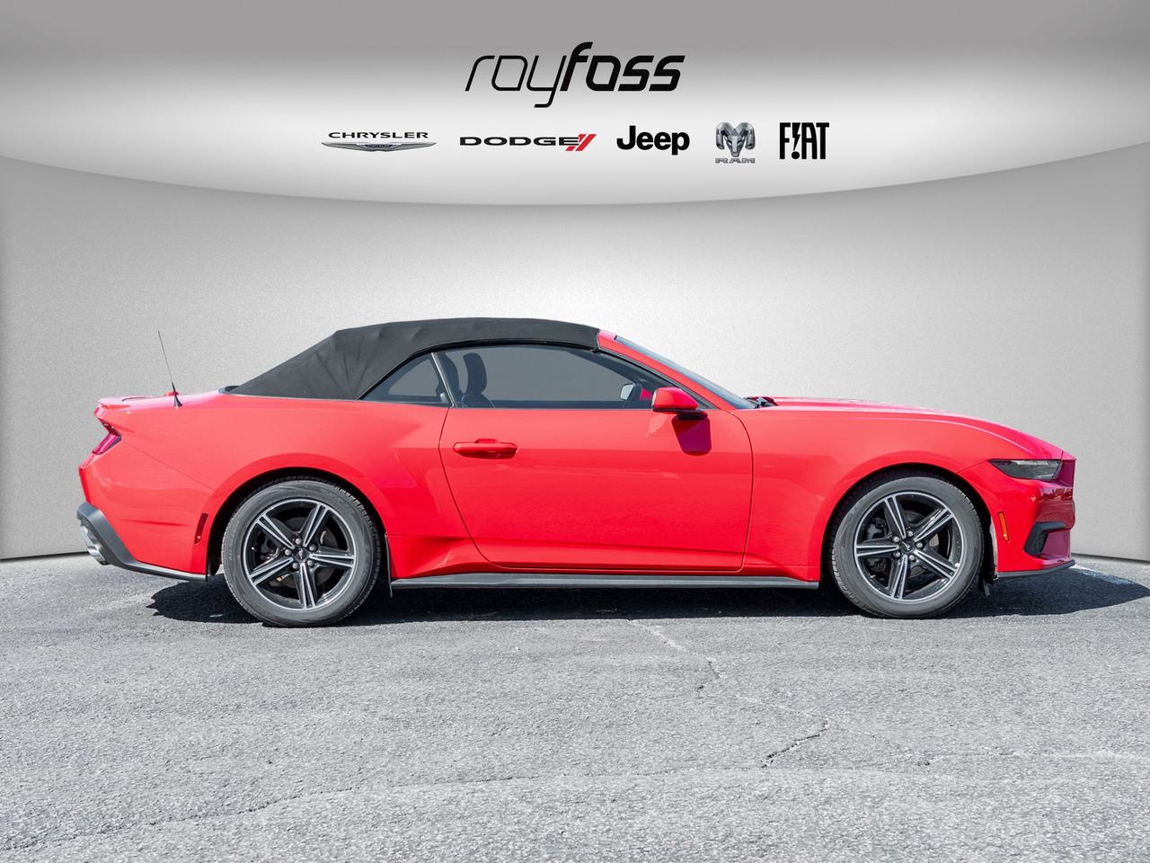 2025 Ford Mustang EcoBoost Premium   Convertible   Clean Carfax Photo4