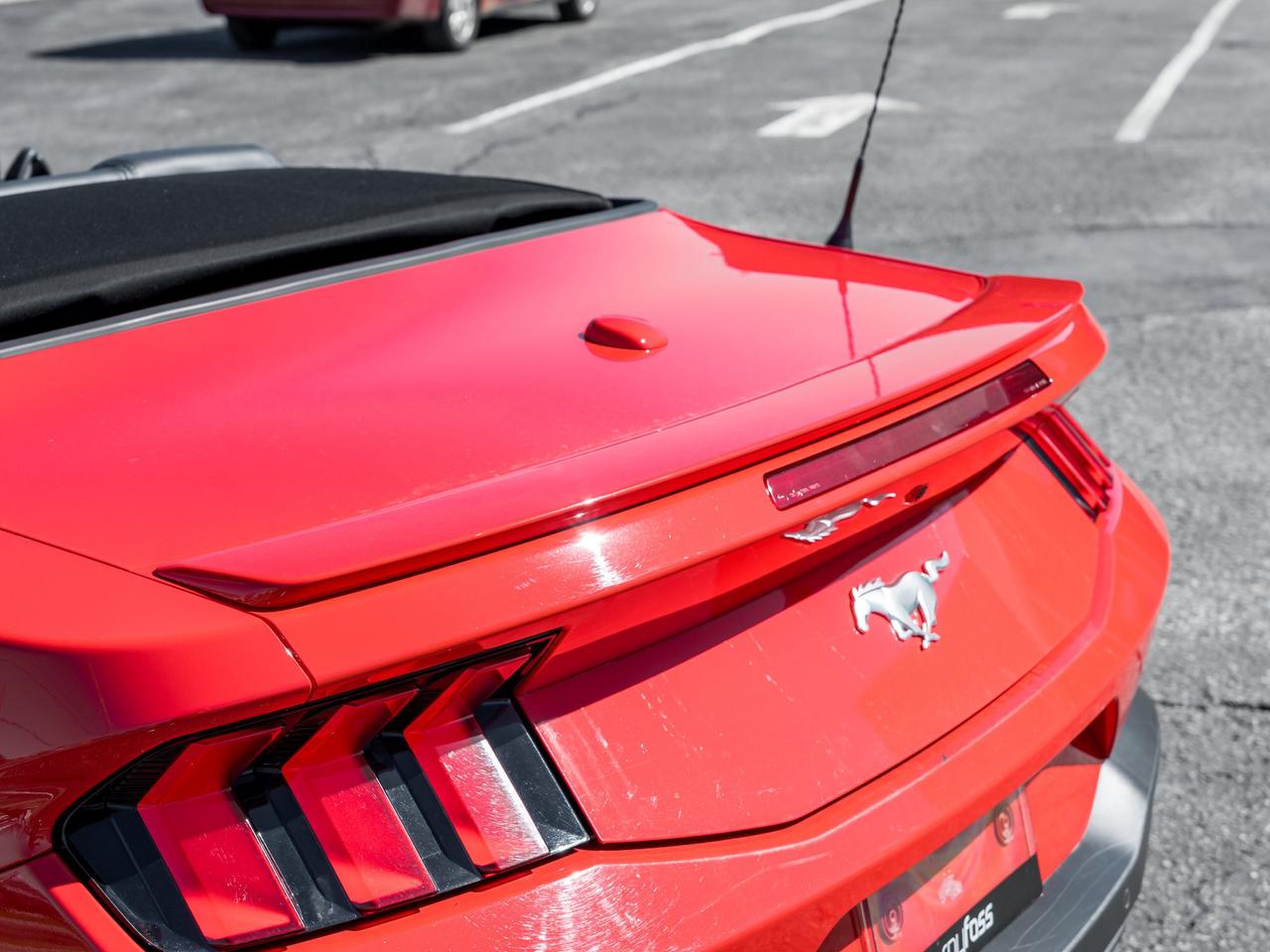 2025 Ford Mustang EcoBoost Premium   Convertible   Clean Carfax Photo