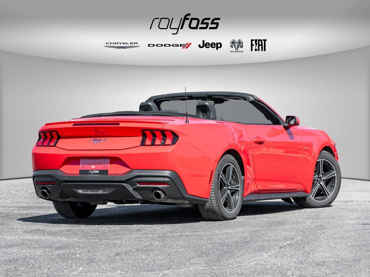 2025 Ford Mustang EcoBoost Premium   Convertible   Clean Carfax Photo