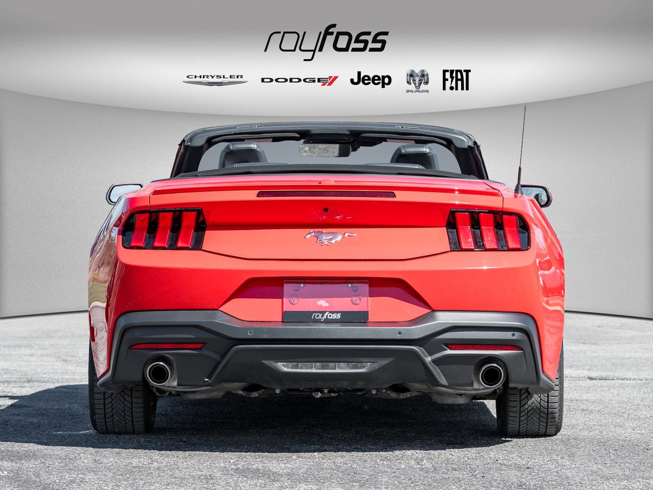 2025 Ford Mustang EcoBoost Premium   Convertible   Clean Carfax Photo
